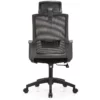 Cosy Home/Office Ergonomic Chair for Long Hours