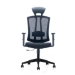 Ashe Mesh Chair in black with ergonomic design and adjustable features.