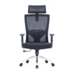 Zin Mesh Chair with adjustable features in black.