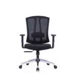 Ashe Mesh Chair in black with mesh back, upholstered seat, and adjustable armrests.