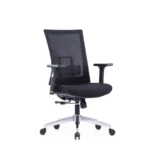 Evon Mesh Chair in black with mesh fabric, adjustable 4-way armrests, and lumbar support.