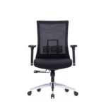 Evon Mesh Chair in black with mesh fabric, adjustable 4-way armrests, and lumbar support.