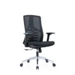 Luna Mesh Chair in black with 4-way adjustable armrests and lumbar support.