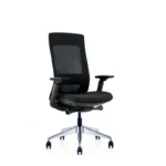 Mono Ergonomic Chair in black with adjustable lumbar support and 3D armrests.