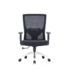 Zin Mesh Chair in black with adjustable armrests and lumbar support.