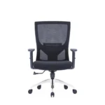 Zin Mesh Chair in black with adjustable armrests and lumbar support.