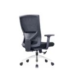 Zin Mesh Chair in black with adjustable armrests and lumbar support.