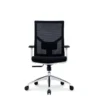 Sella Mesh Chair in black with a white frame, adjustable lumbar support, and aluminum base.