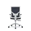 Sella Mesh Chair in black with a white frame, adjustable lumbar support, and aluminum base.