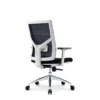 Sella Mesh Chair in black with a white frame, adjustable lumbar support, and aluminum base.