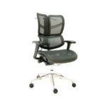 Daisy medium back chair with Korean mesh seat, adjustable 4D chrome arms, aluminum swivel base, and adjustable headrest with jacket holder.