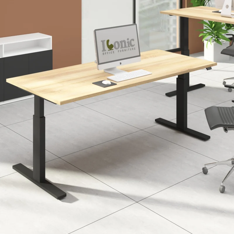 Office Furniture Sit Stand Height Adjustable Desk