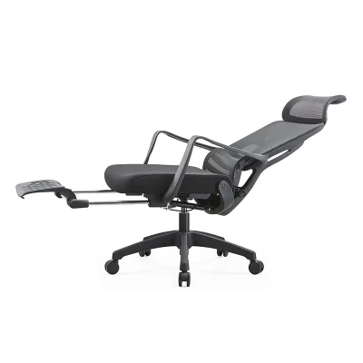 Relaxo ergonomic modern luxury Chair Long Hour Comfort